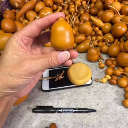 吉***i吉祥三宝的一把胖墩葫芦葫芦