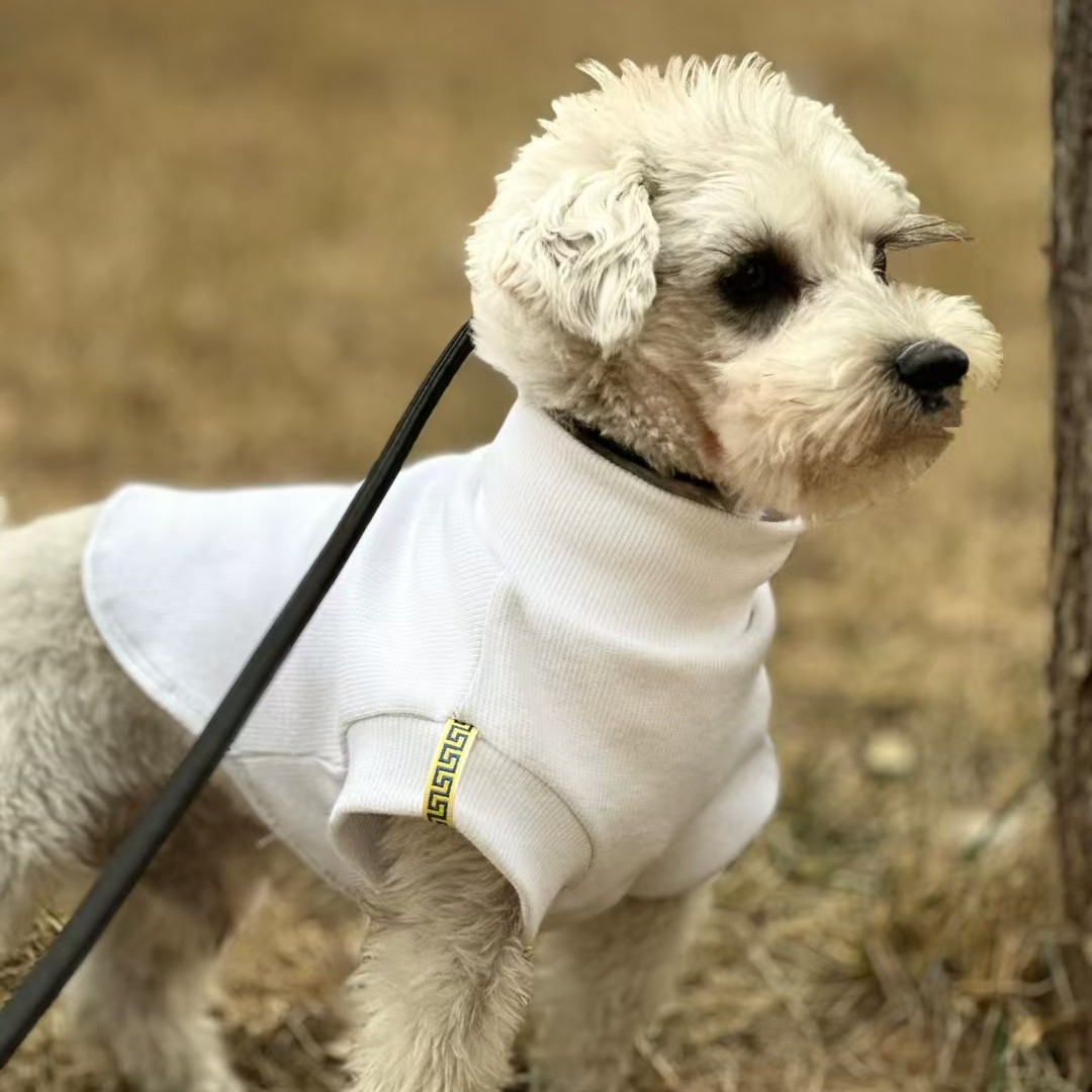 定制专拍单必须联系客服