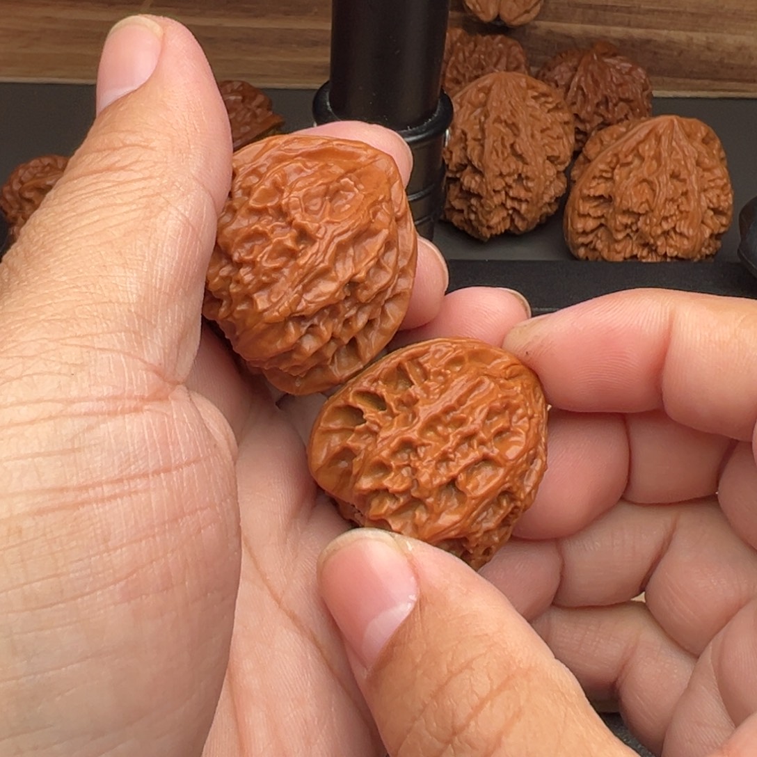 格***子文玩核桃把件小野生