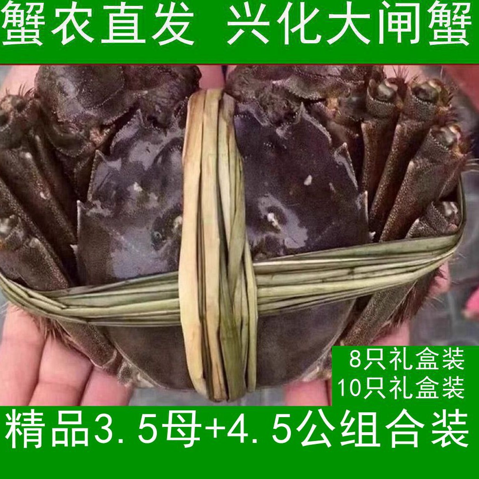 精品礼盒装 鲜活兴化大闸蟹3.4～3.6两母蟹+4.4～4.6两公蟹6/8/10只