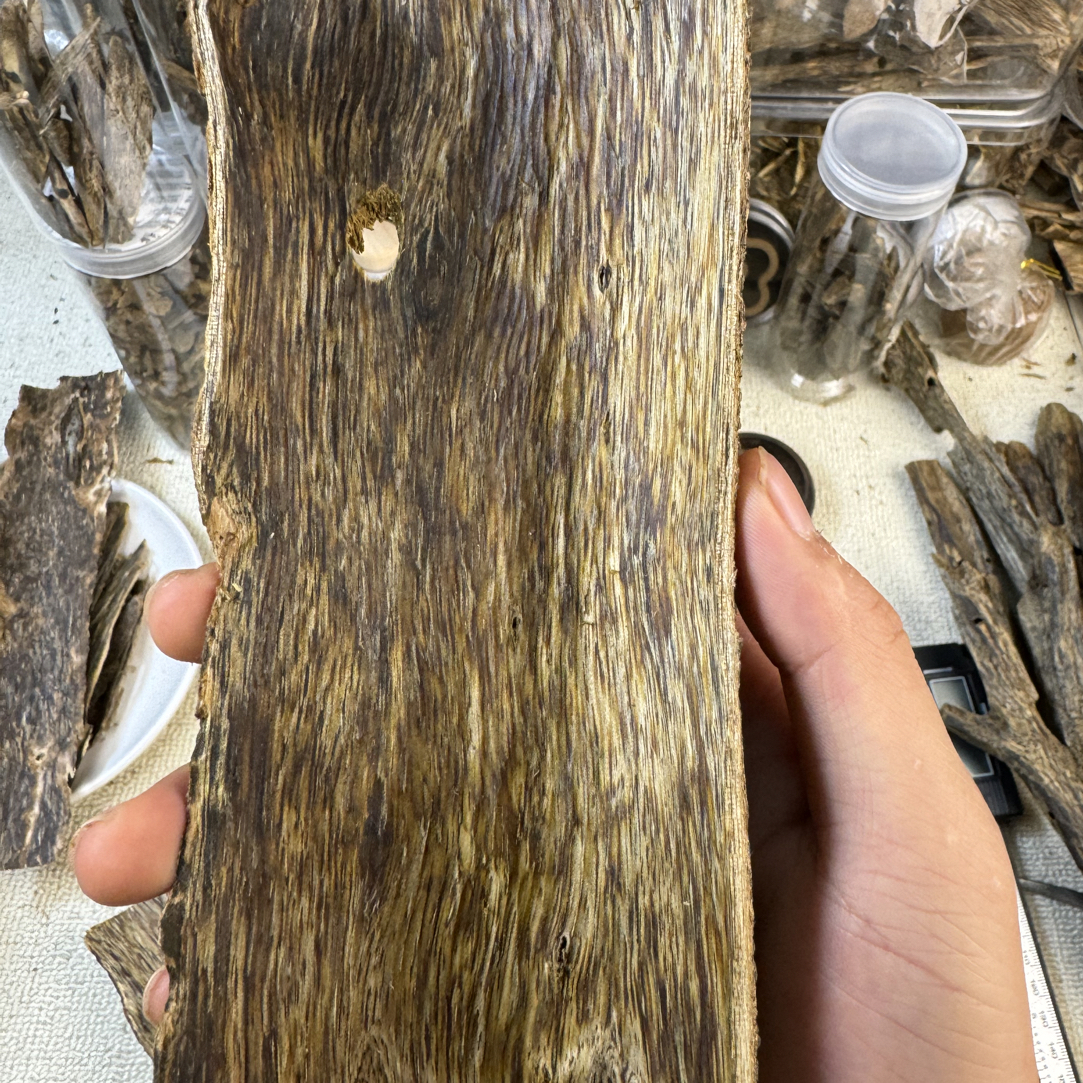 皮油高油26克多样性发货