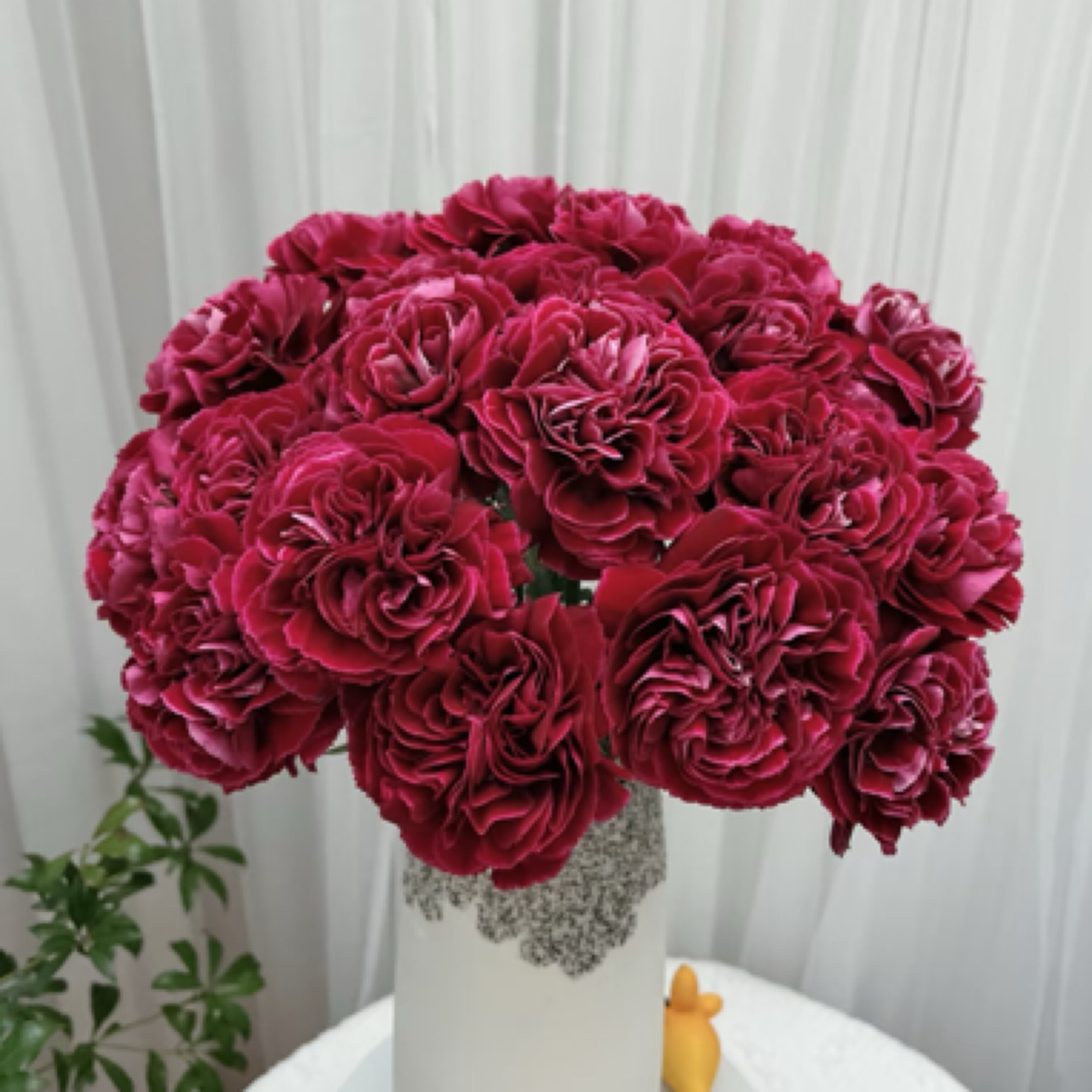 【香羿鲜花】红绸康乃馨10支/全场任意满两单及以上包邮