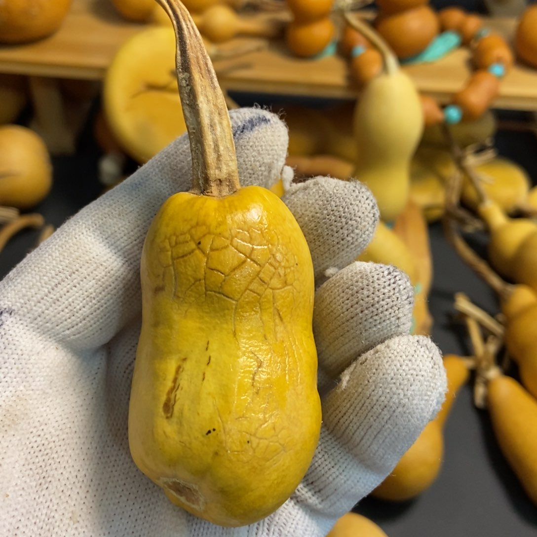 。****咸葫芦葫芦真的好