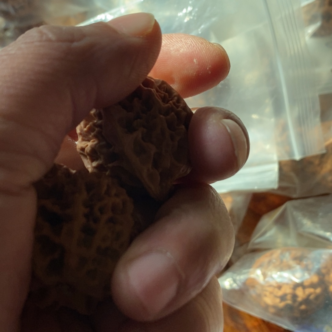 秦岭南侧和东北北部部分的