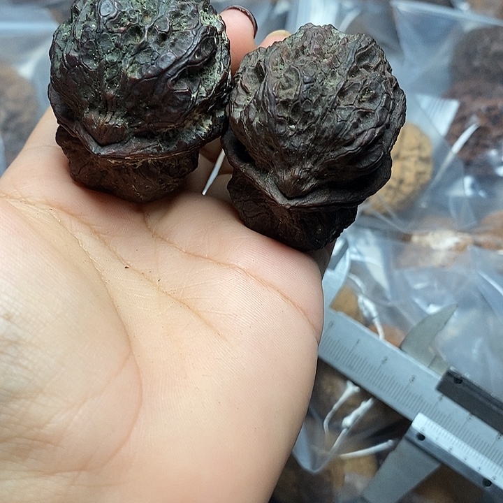 把件文玩核桃     42h