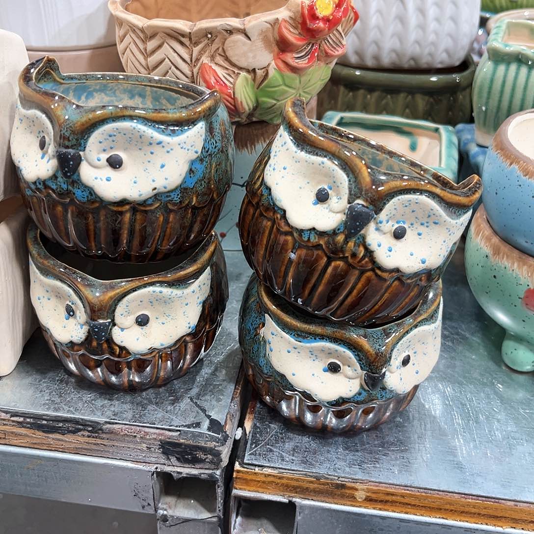 花盆花盆花盆花盆花盆花盆花盆花盆