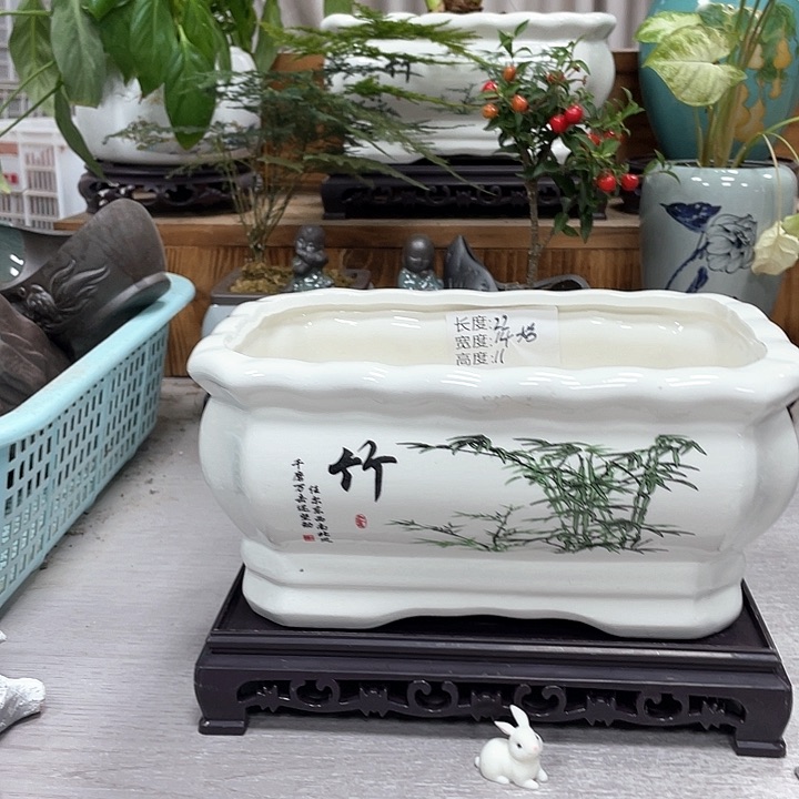 陶瓷花盆紫砂盆抢购福利