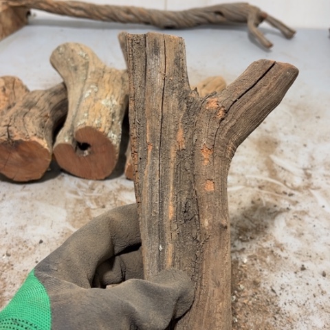 大果紫檀（缅甸花梨）一****龙