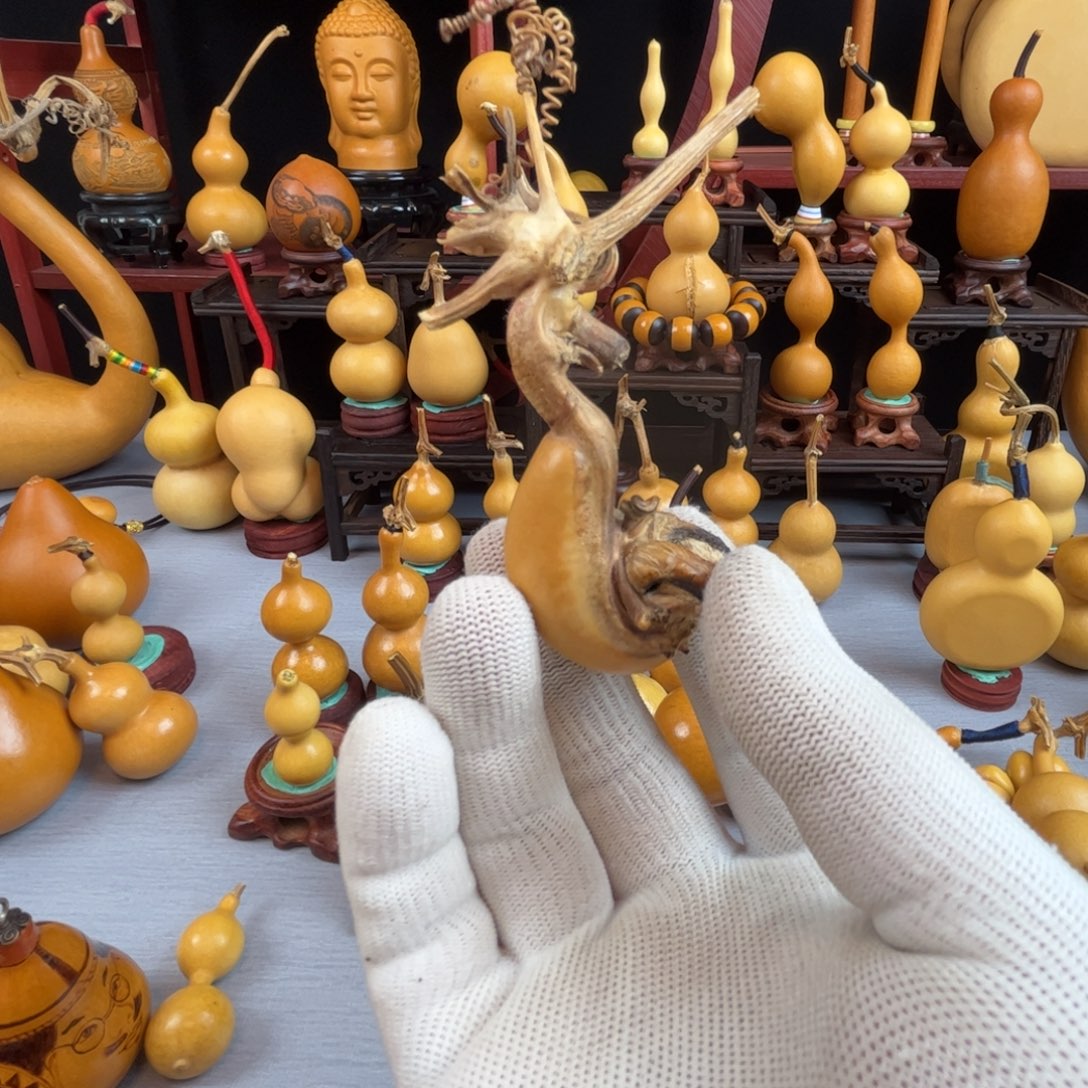 小***哥藤木我的小可爱，一点也不像个女孩