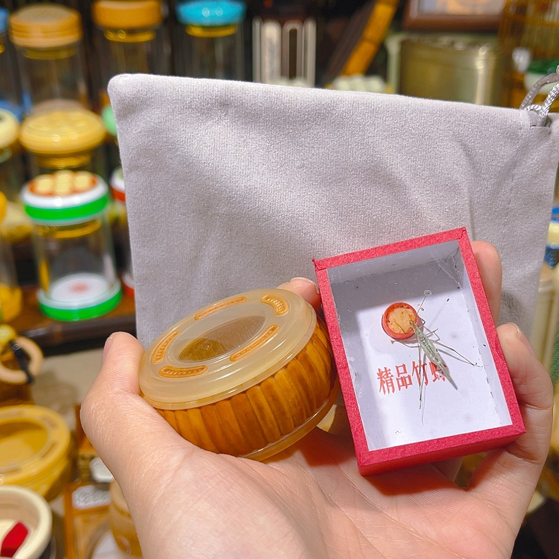 蟋蟀橄榄核万体+竹蛉+布套