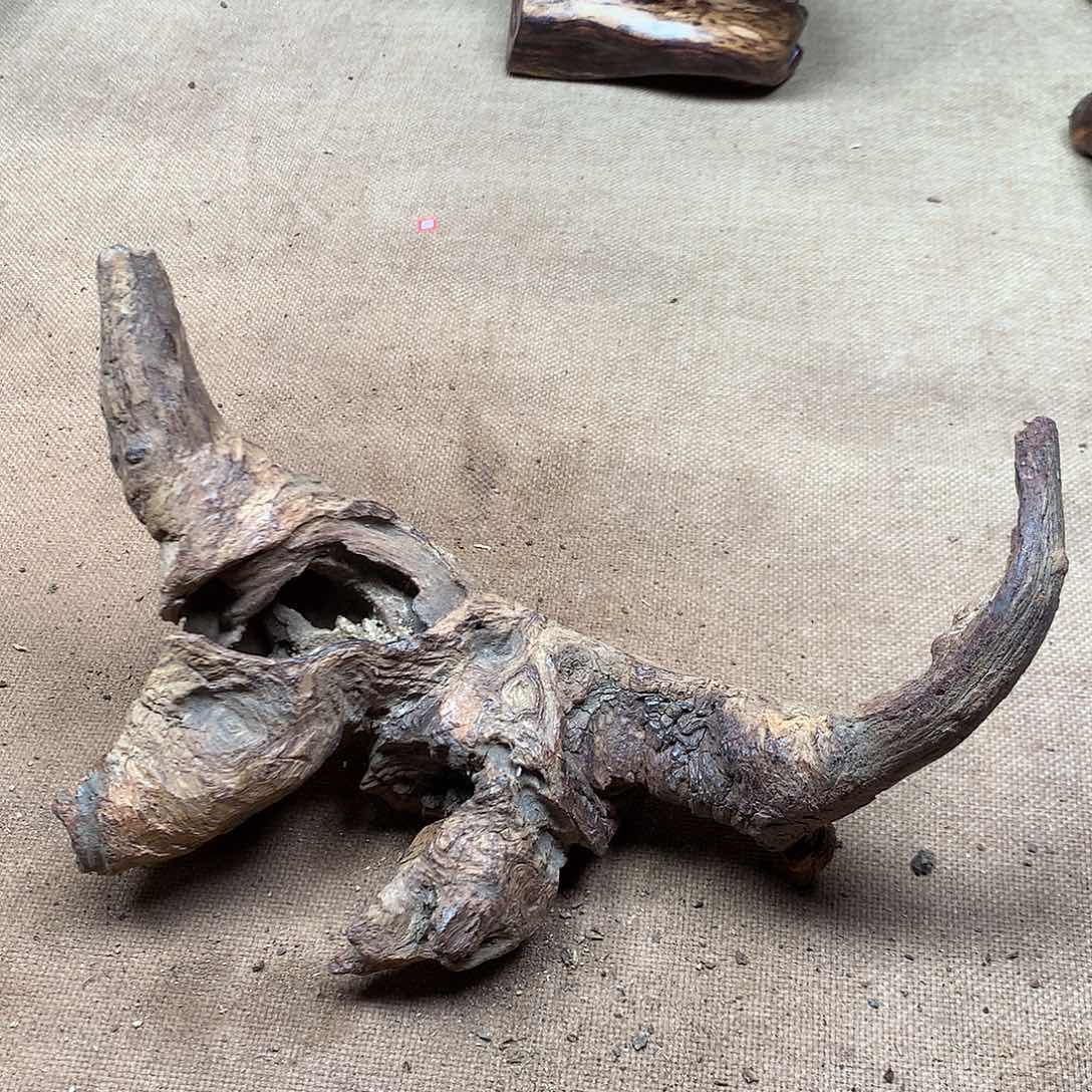 鱼***龍黄花梨/降香黄檀原材料品香料