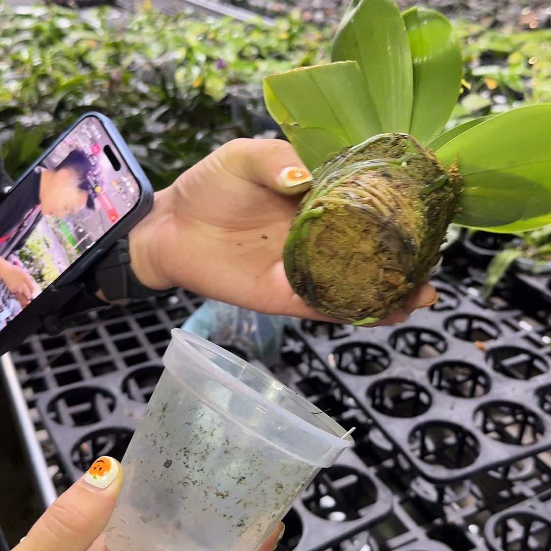 完全开放C68。。。。。