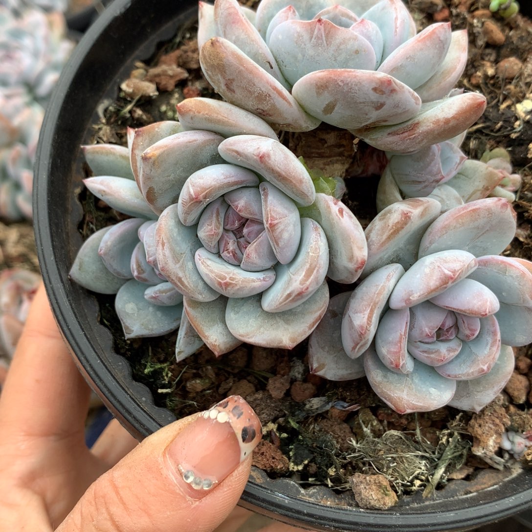 哈哈哈哈哈哈哈哈哈哈哈