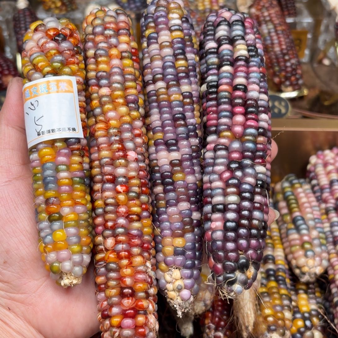 柏香籽/百香籽吊坠心**声