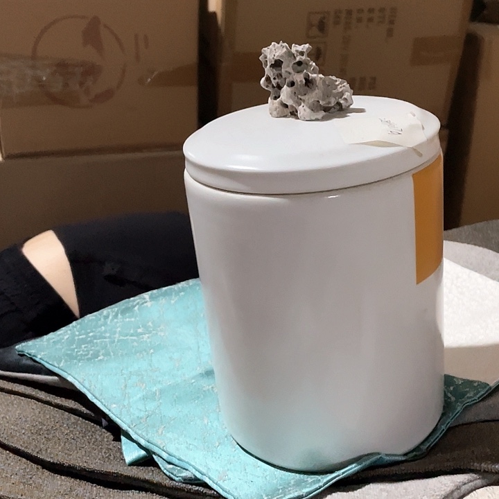 陶瓷花瓶，仿真绿植。