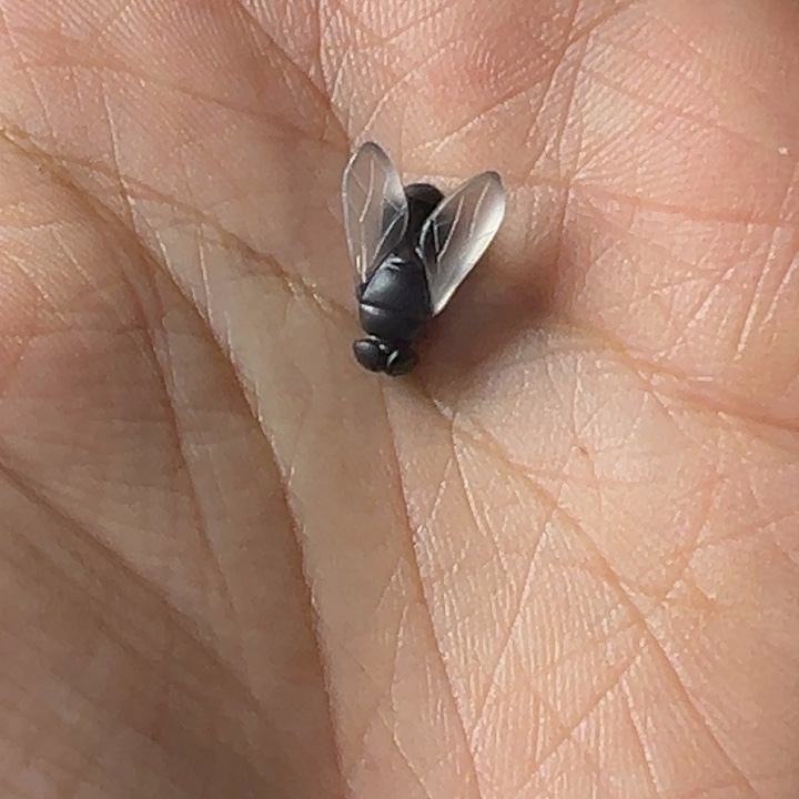 玛瑙/玉髓未镶嵌配饰