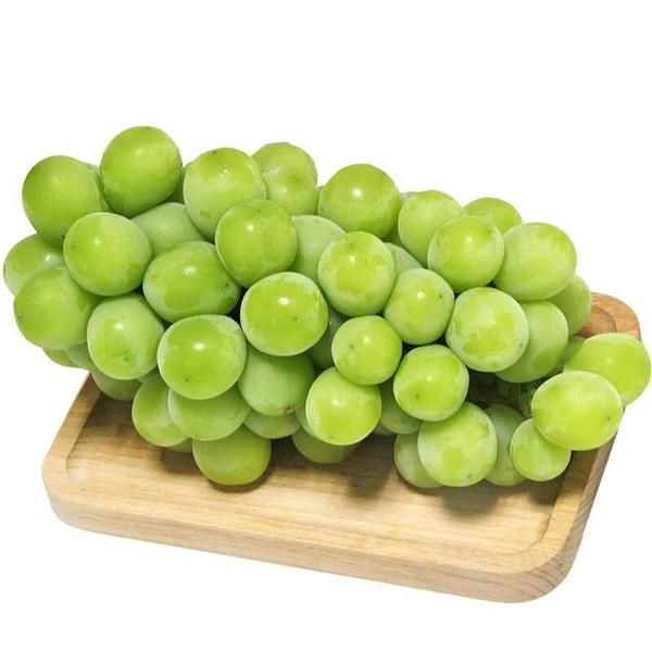 阳光玫瑰葡萄【精品果】12.8/斤 脆甜无籽云南省