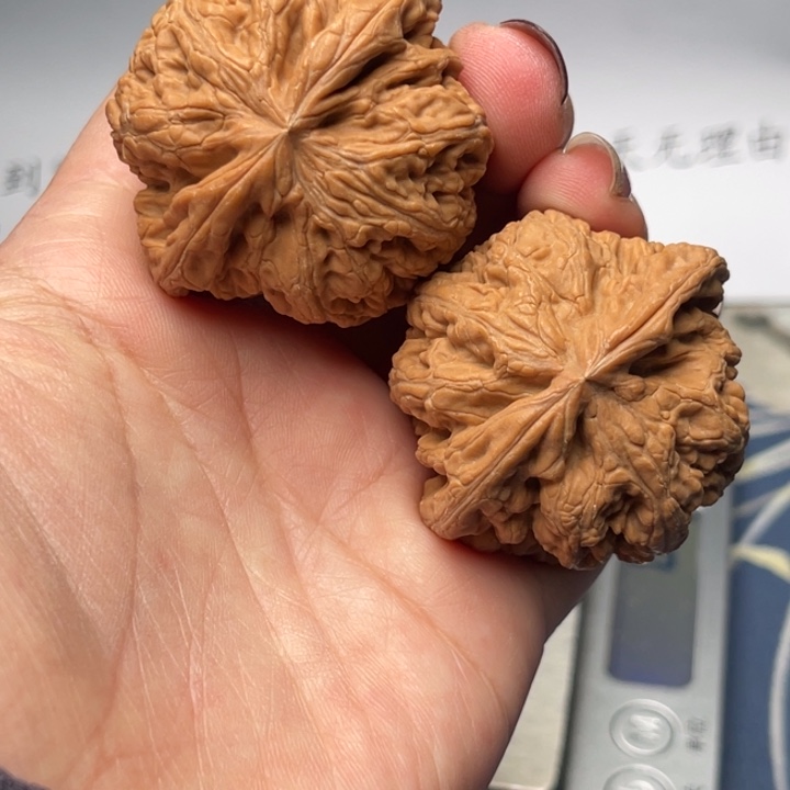 文玩核桃把件粗筋44