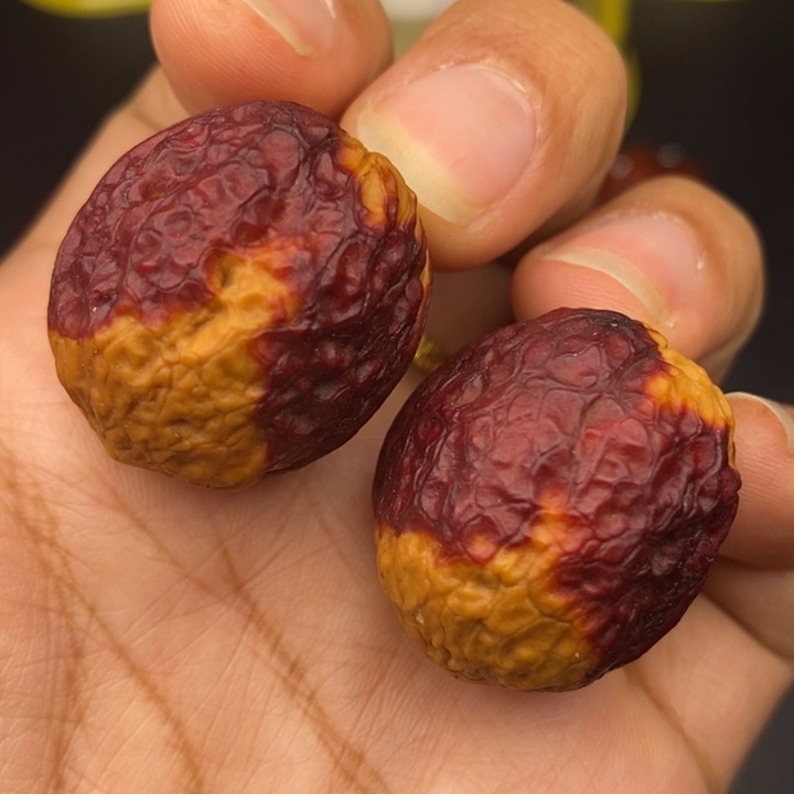 吊坠文玩核桃29尺鸽子蛋