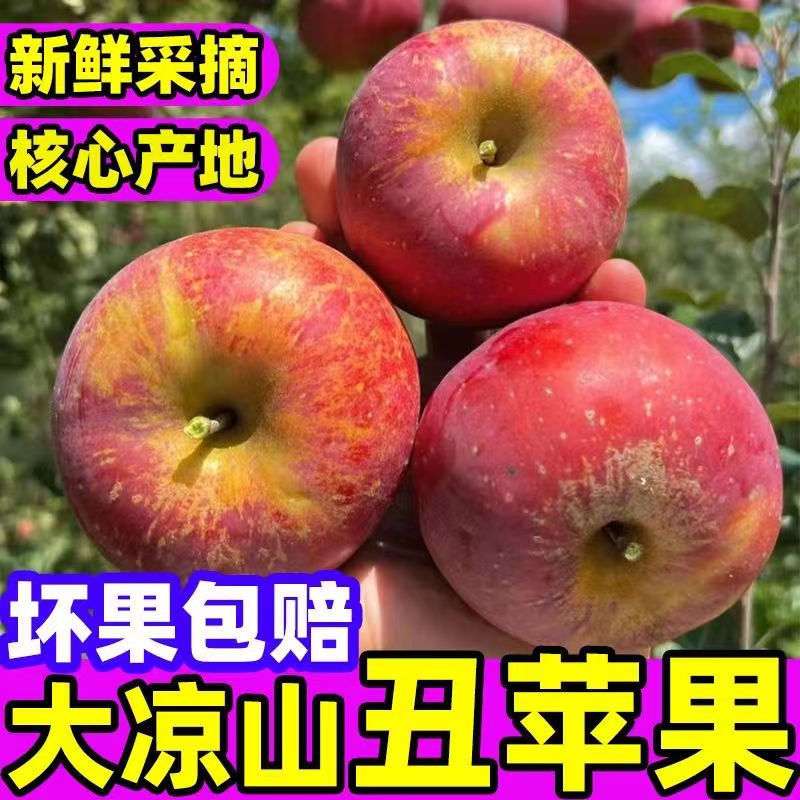 正宗包邮四川大凉山昭通丑苹果直发糖心苹果脆甜多汁