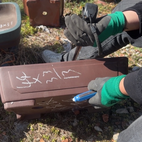 紫砂花盆紫砂花盆盆景盆栽