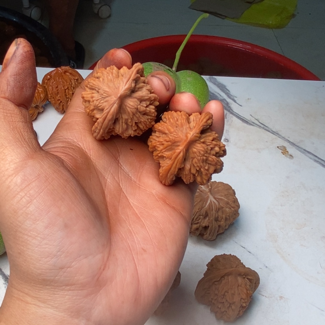 十***】核桃把件37麦穗虎头