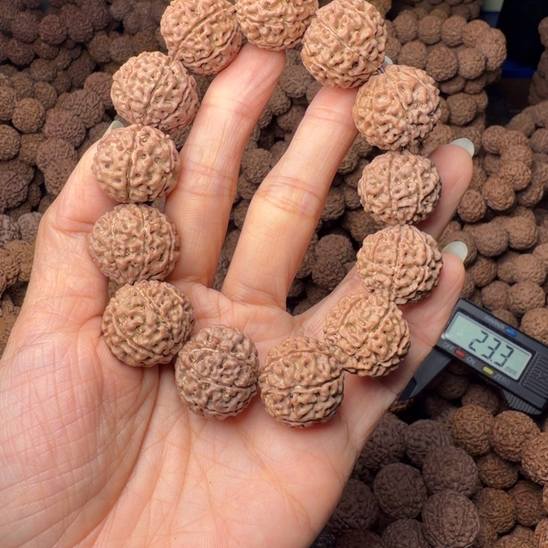 金刚菩提手串8搬卡20尺，79号