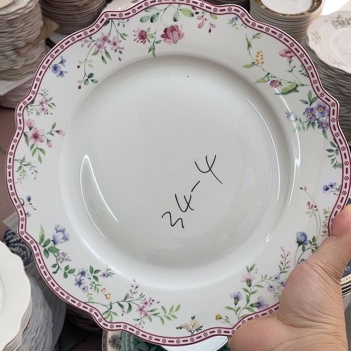 新骨瓷10.5寸平盘2个微瑕完美主义者慎拍