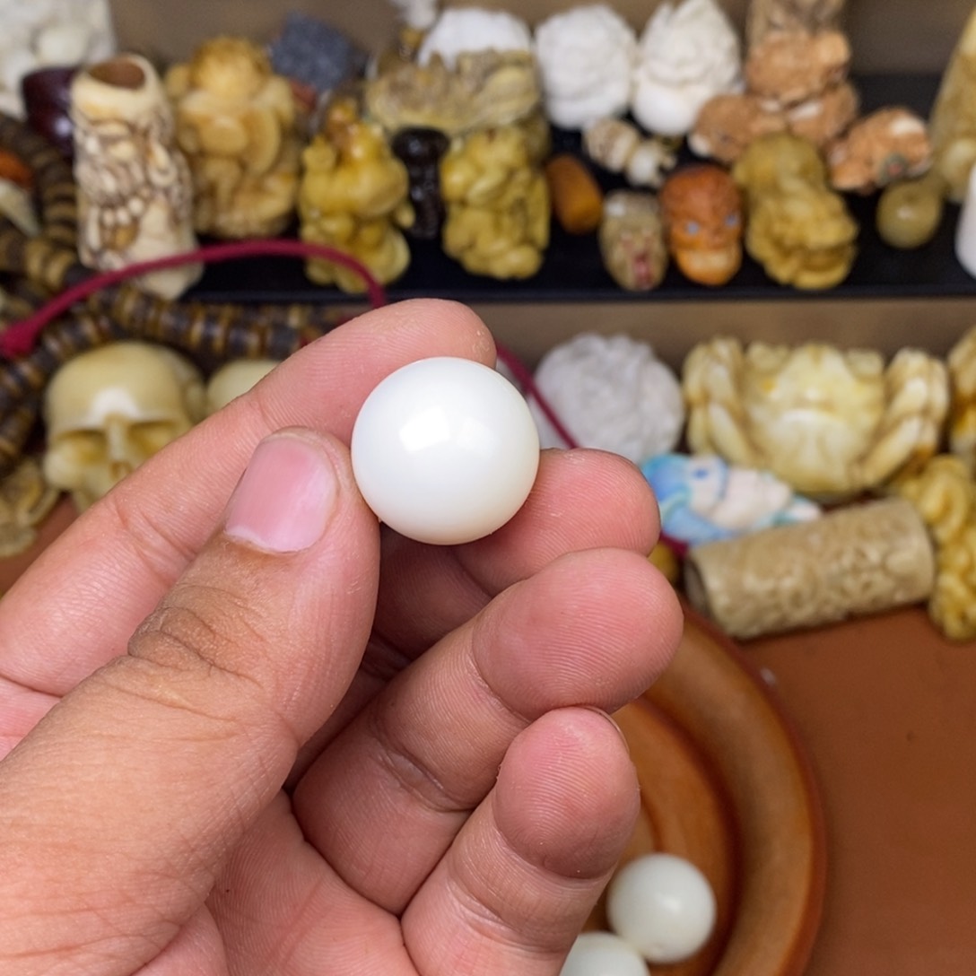 其他驼骨人工样子