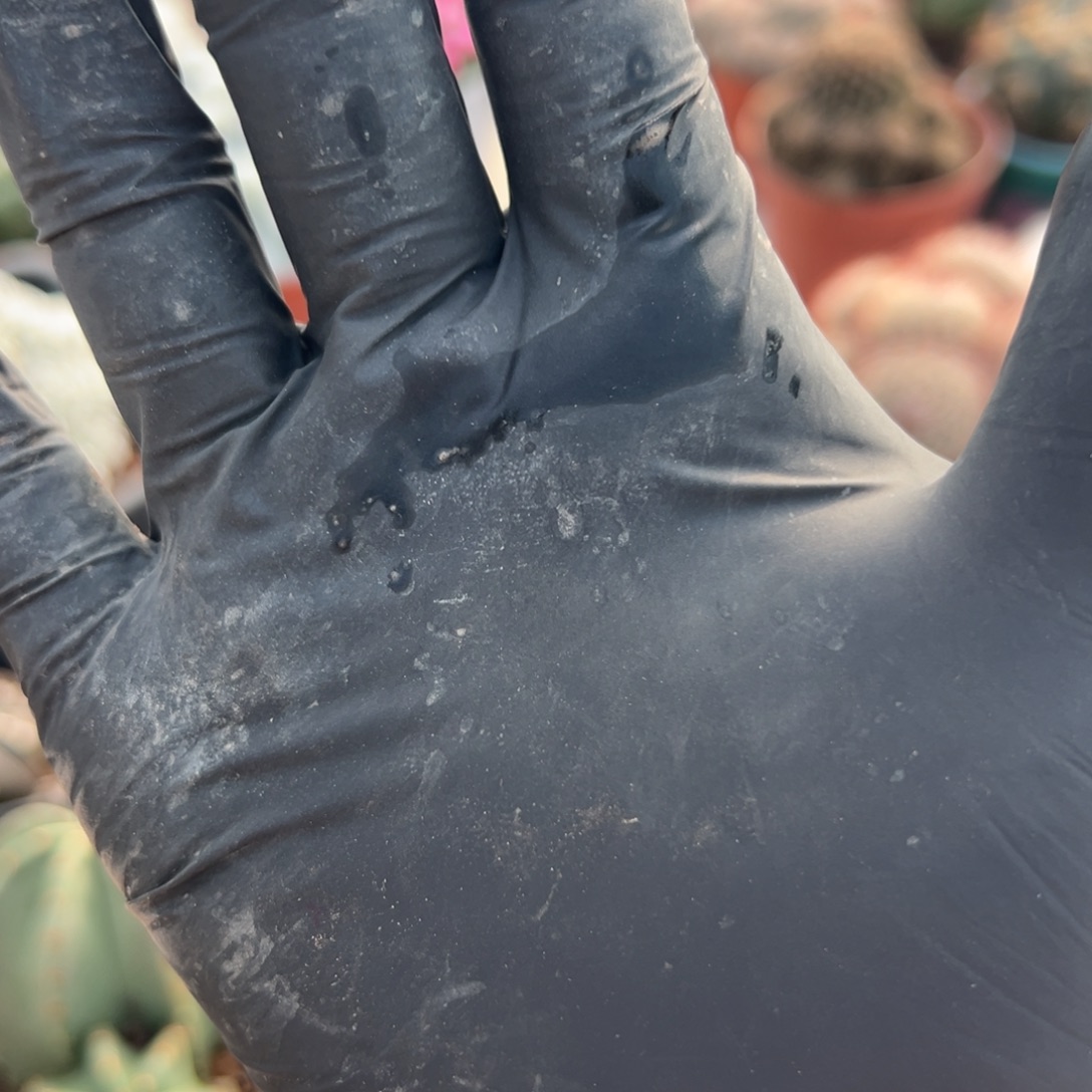 *****128。余额零零落落 零零落落