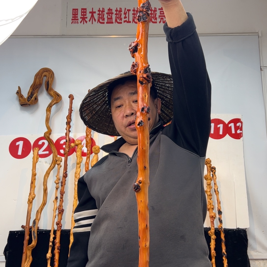 大***树黑果木其他黑果木398