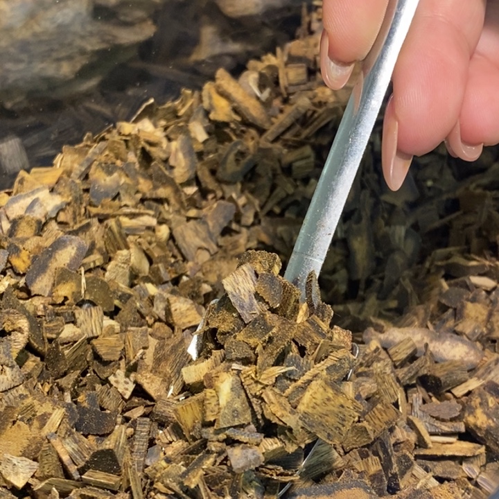 沉香沉香碎屑乌身圆叶熏香料