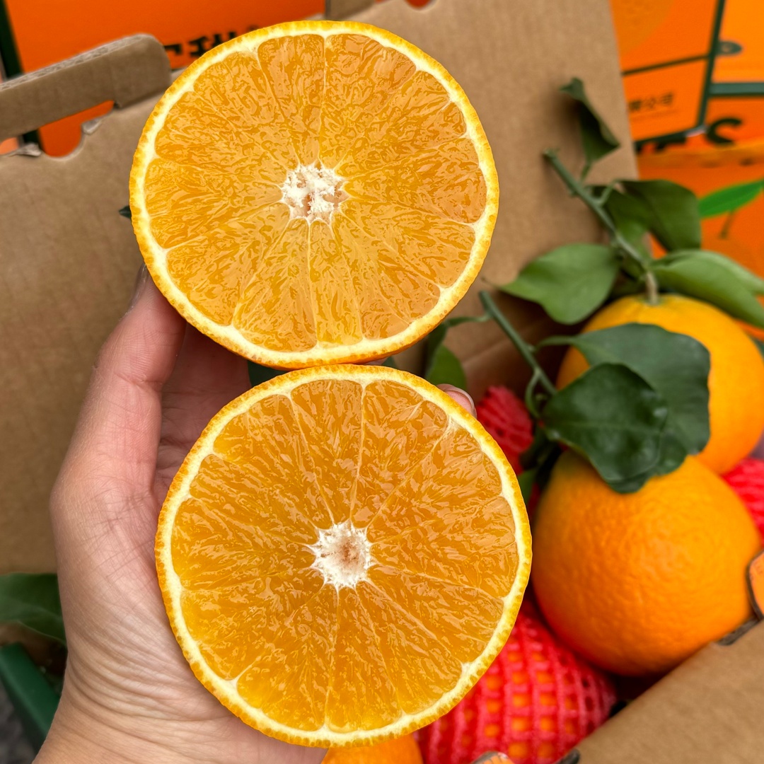 蜀豹爱媛果冻橙 净重4.5斤左右果肉细腻皮薄肉厚汁水多【只发河南】