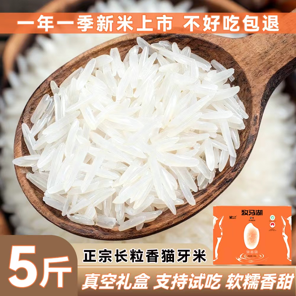 牧马湖新米天马香贡米5斤（支持试吃）长粒香猫牙米丝苗米营养大米
