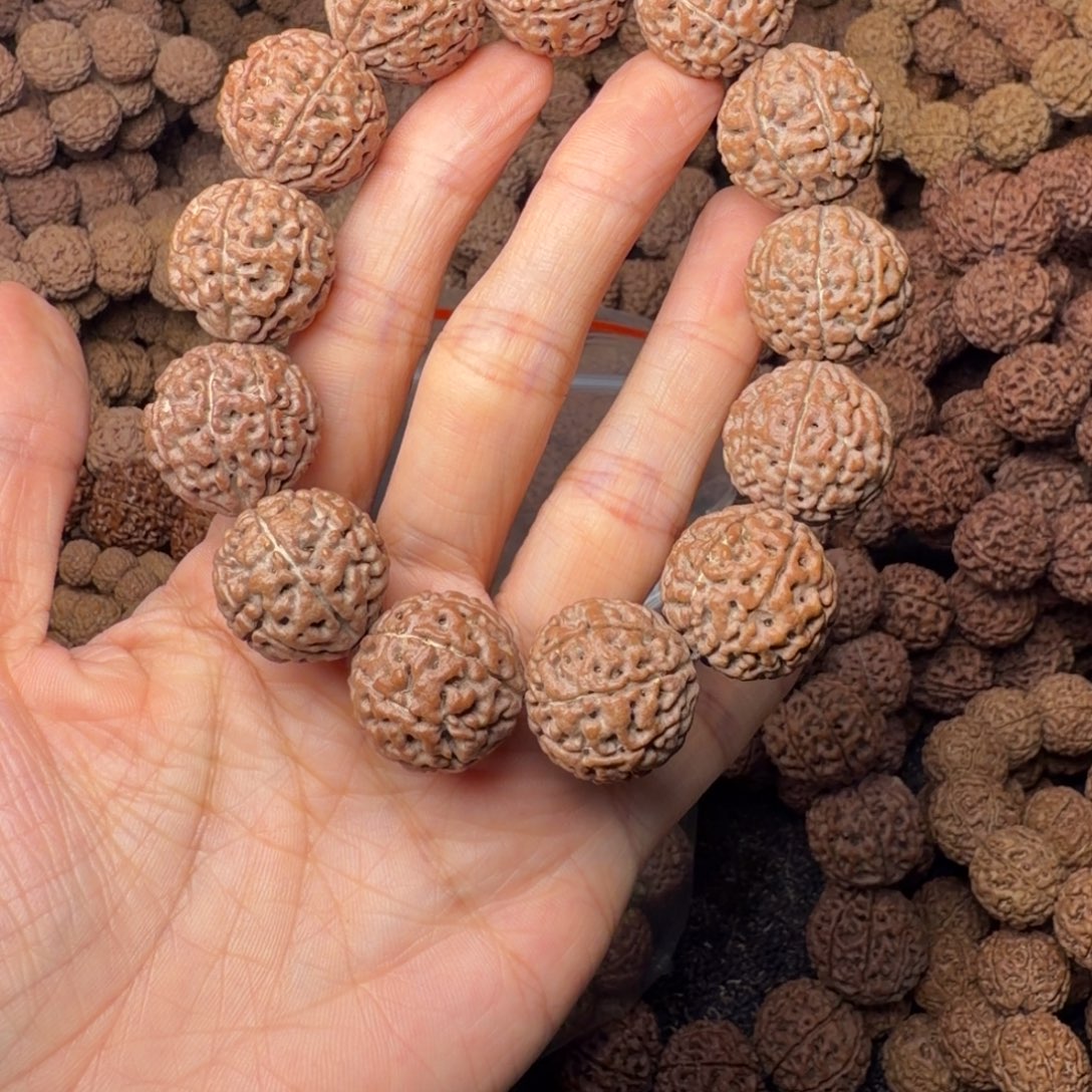 金刚菩提手串8瓣卡20尺，106号