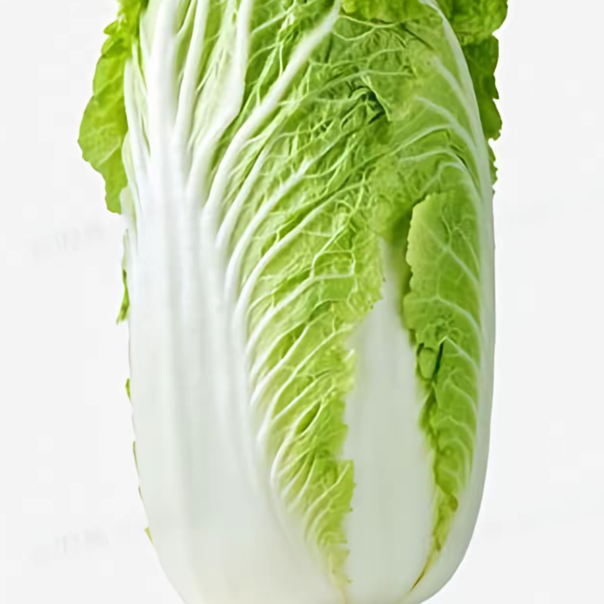 【配送到家】大白菜一斤（五斤起拍）