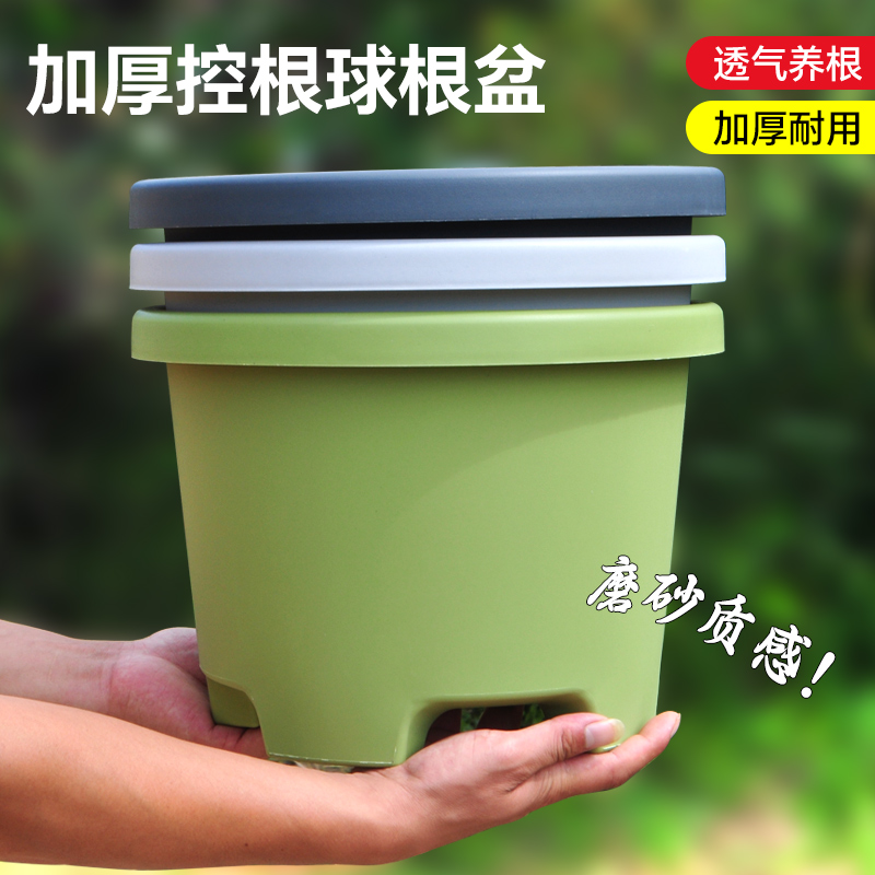 加厚花盆控根高颜值球根花盆种球专用大号花盆绿植盆栽专用花盆