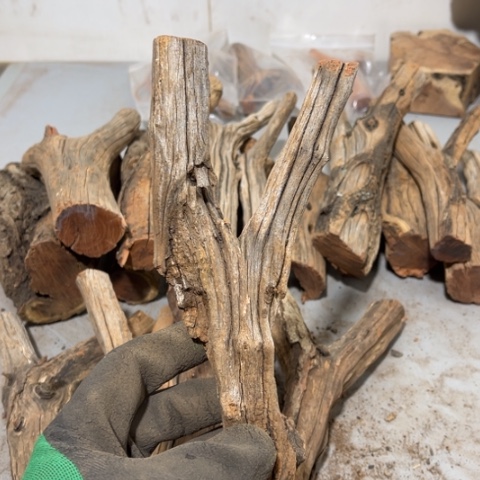 大果紫檀（缅甸花梨）一****龙