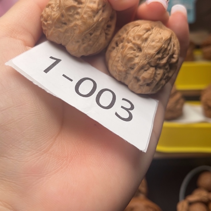 文玩核桃把件34全品蛙蛙1003