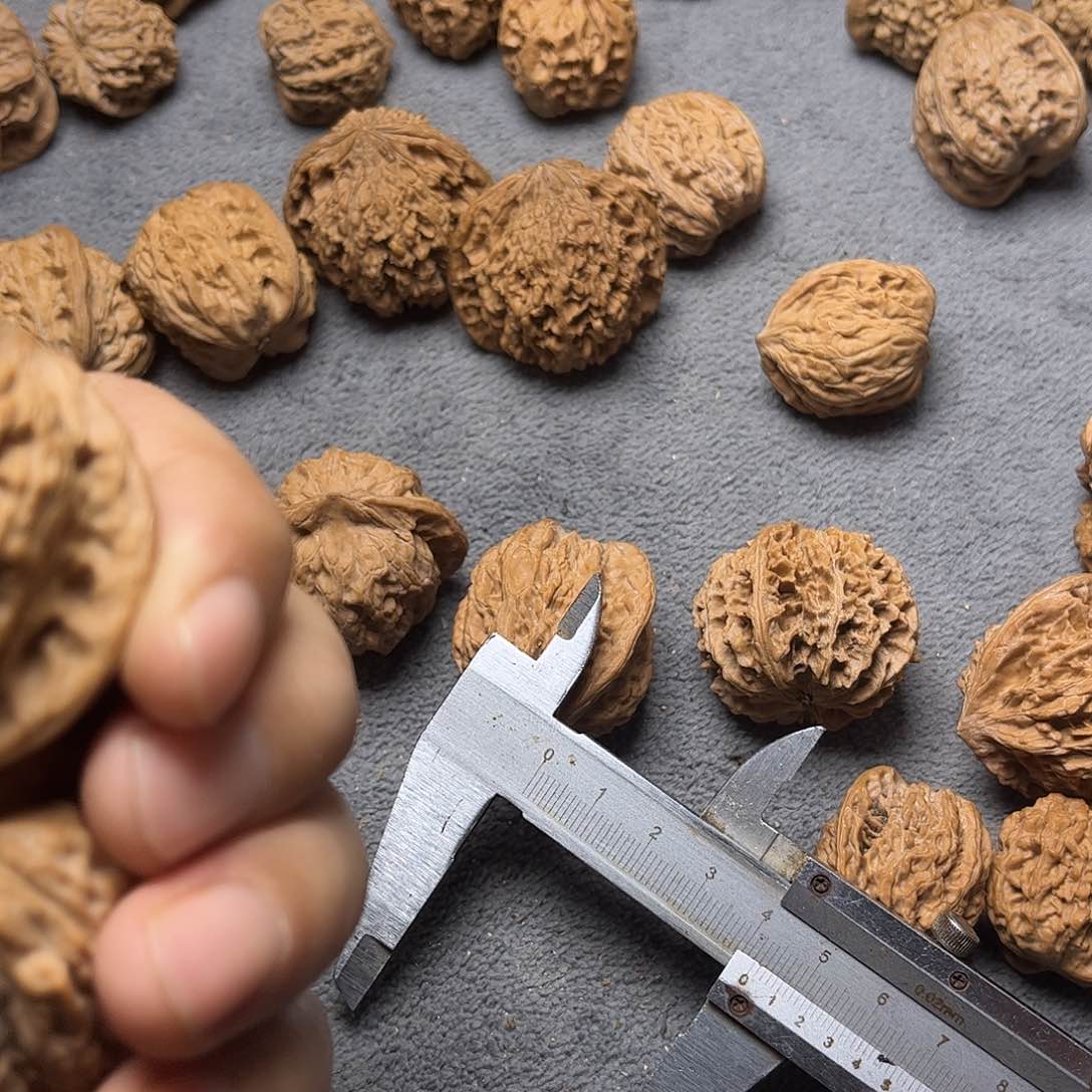 文玩核桃手串和*公子