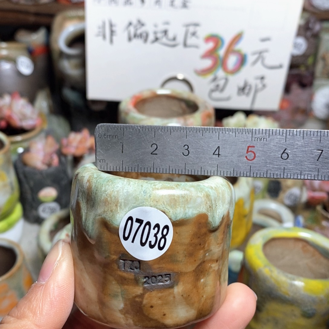花盆拍3送一个小礼物