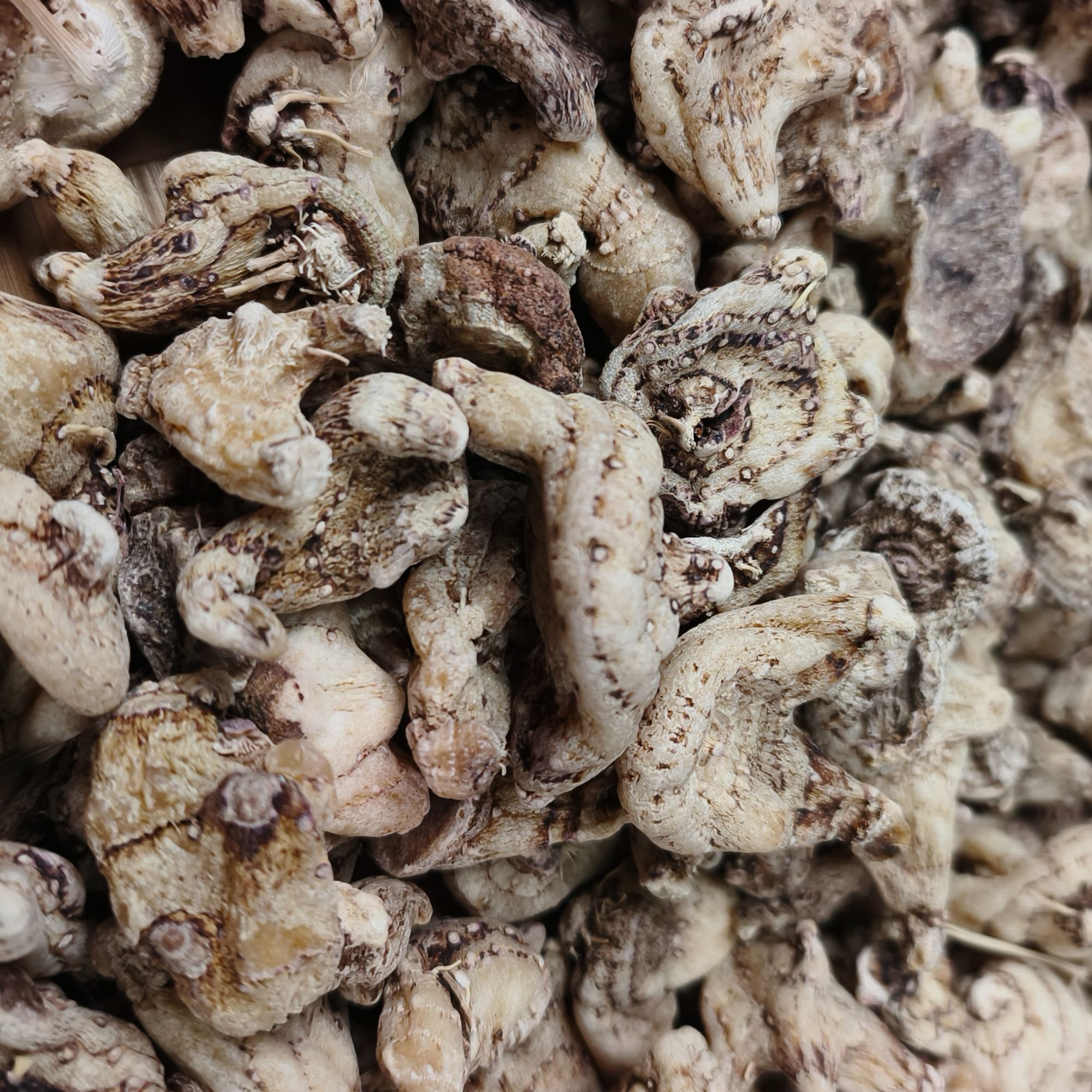 1【三-叉-芨】净含量：250g-1000g【阿徐现收】枸杞