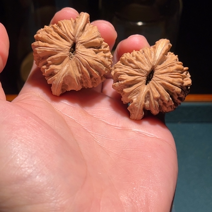 文玩核桃把件我***胆42➕楼子毕业对