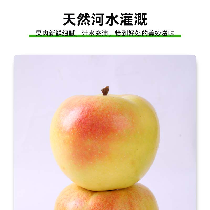 【2025头茬】新鲜采摘陕西粉面口感苹果皮薄肉厚粉面鲜甜老人小孩