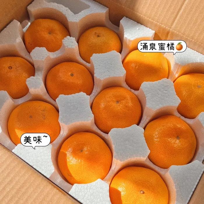 桔妹妹临海涌泉蜜桔 高山无核蜜桔 大棚蜜桔 现摘现卖 桔妹妹蜜桔