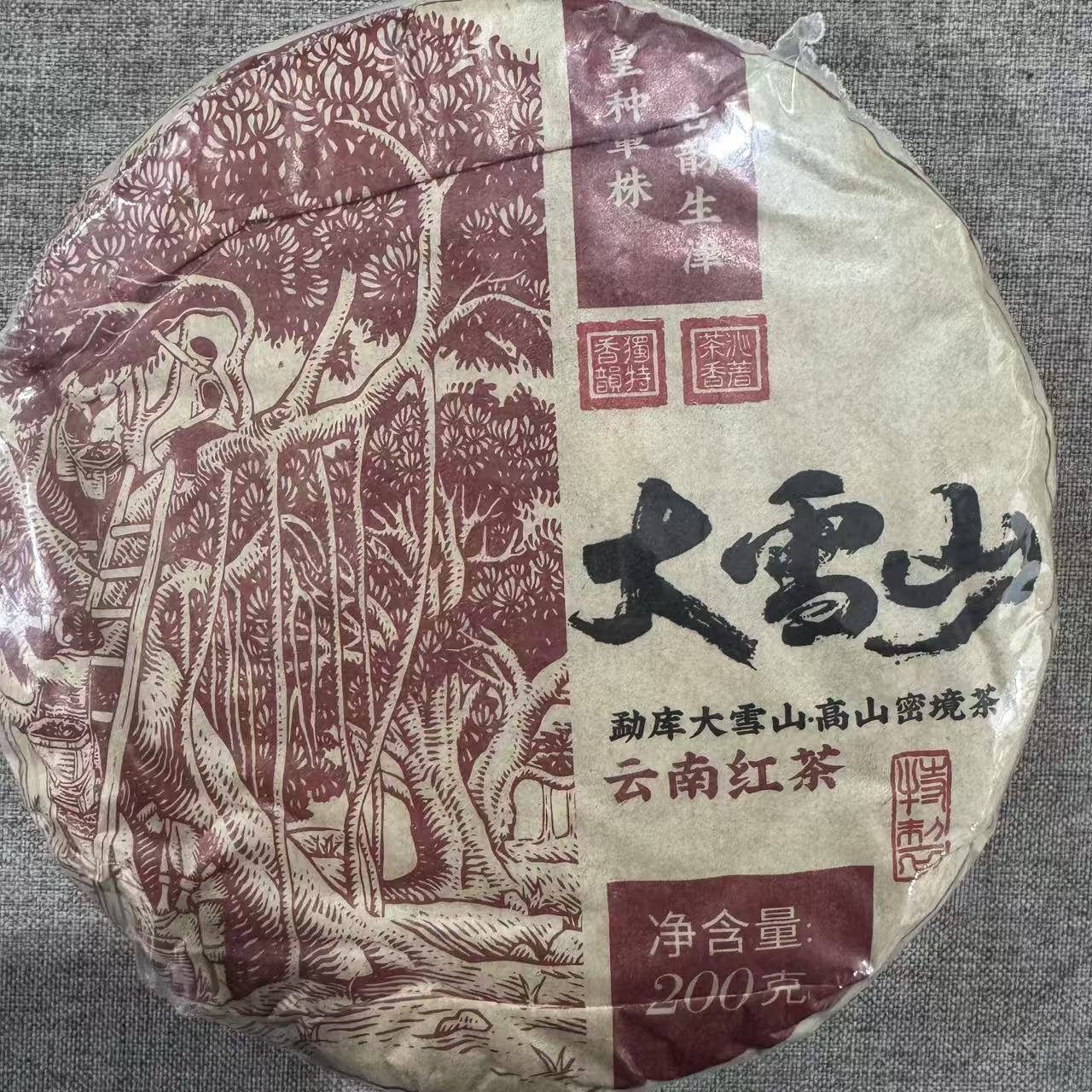 大雪山 古树红茶