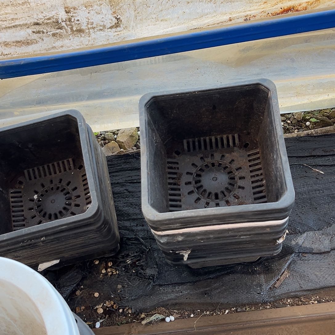 旧口径17.5高12黑方盆15个