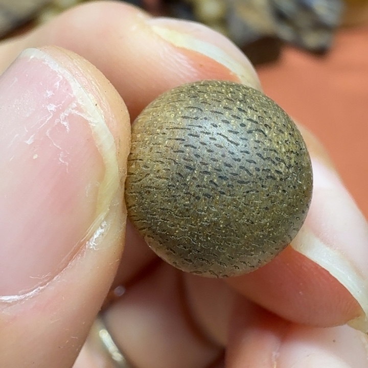 沉香沉香碎屑馨安居沉香88888