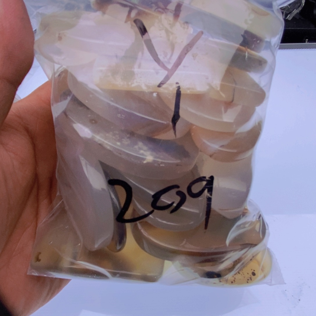 玛瑙/玉髓颈饰未镶嵌丫**?