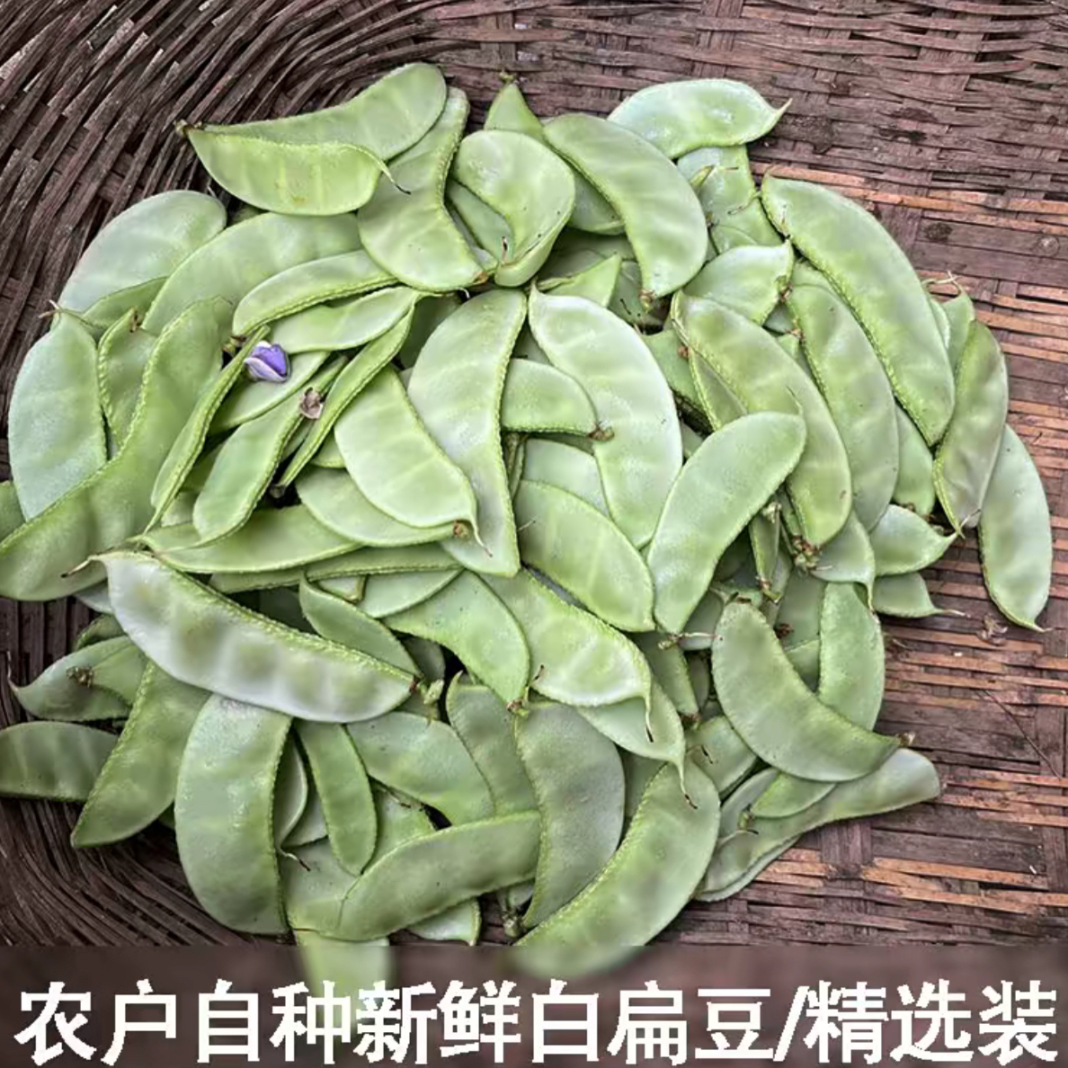 湘西农家自种峨眉豆